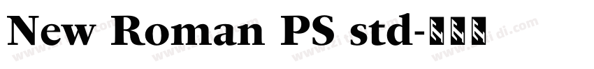 New Roman PS std字体转换